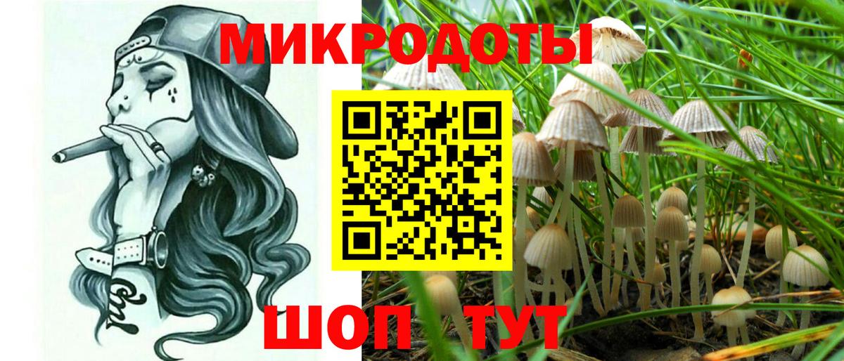 Псилоцибиновые грибы ЛСД  Вход с VPN  Новочебоксарск  Псилоцибиновые грибы мухоморы 